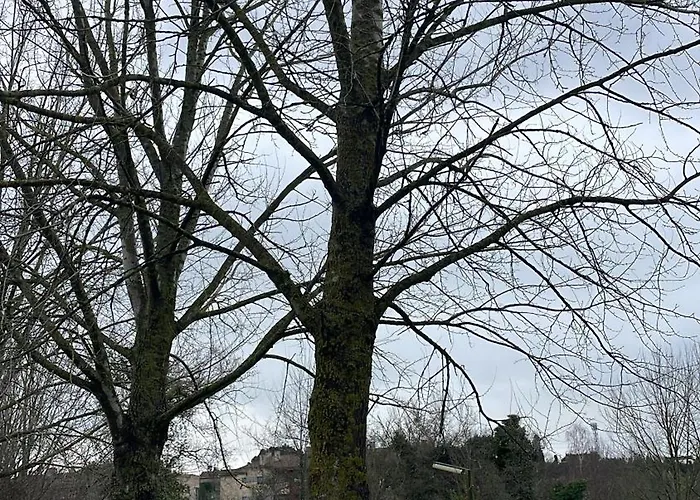 דירה En - Entre Y Mar